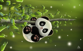 Cute Animal Panda HD Wallpaper By Amol Shede
