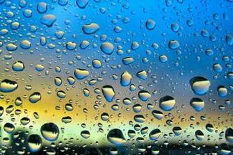 April Showers Wallpaper Mural
