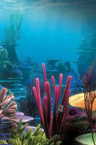 Tropical Coral Reef iPhone Wallpaper