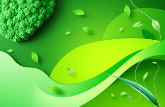 Green Color Background Wallpaper