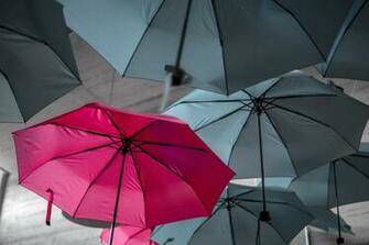 Best Unique Pictures Image Stock Photos On
