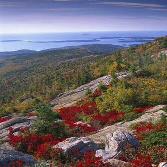 Otter Cliff Acadia National