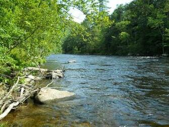 Trout Stream Wallpaper Where A Would Hold