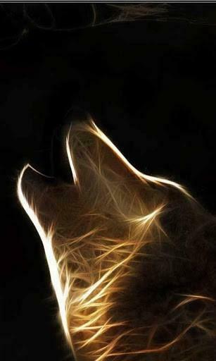 Fire Wolf Live Wallpaper Android