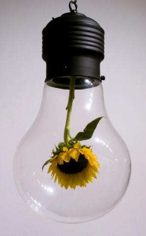 Beautifully Surreal Sculptures Light Bulb Art Man Vs Nature