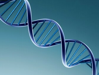 Dna Wallpaper 3d Models
