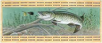 Muskie Wallpaper Tiger Musky Traditional