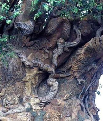 Tree Of Life At Disney S Animal Kingdom Modern Wallpaper