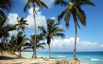 Paisajes Punta Cana Republica Dominicana Rd Wallpaper