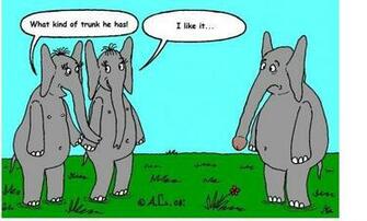 Cute Cartoon Elephants In Love Image Pictures Becuo