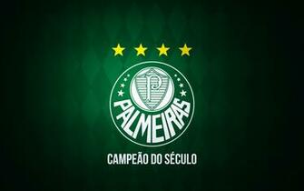 Se Palmeiras 4k Ultra HD Wallpaper Background Image