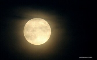 Moon Picture Harvest