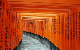Tokyo Fushimi Inari Taisha Wallpaper And Image 001all