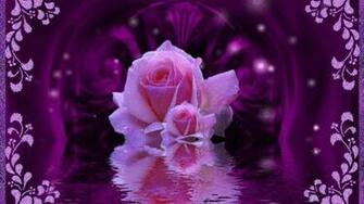 Beautiful Pictures