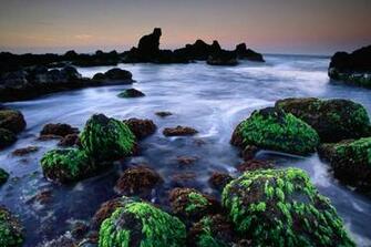 Photos Maui Island Best Photo Gallery HD Wallpaper