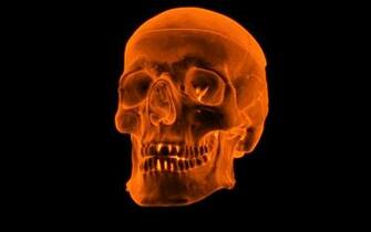3d Fire Skull Wallpaper