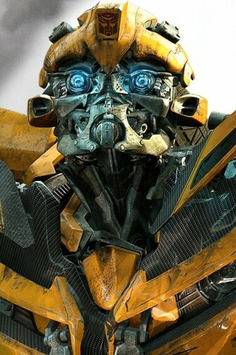 Bumblebee Transformer