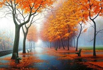 Wallpaper Autumn Rain Park Leaf Bench Desktop Nature