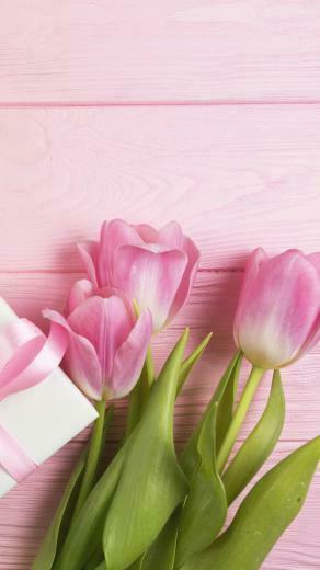 Holiday Mother S Day Wallpaper Id