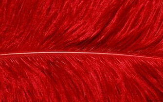 Pretty Red Background