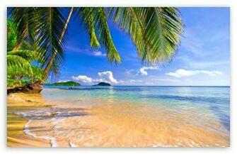 Shore Palms Tropical Beach HD Desktop Wallpaper High Definition