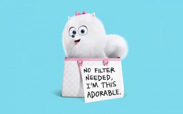 Secret Life Of Pets The Desktop Wallpaper