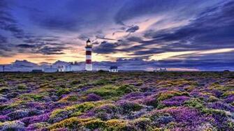 Purple Landscape Wallpaper HD Desktopinhq