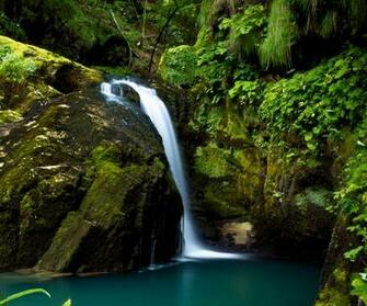 Nexus Wallpaper HD Beautiful Stunning