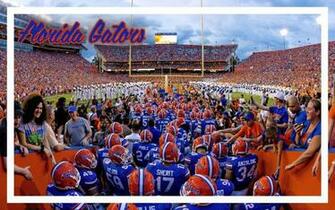 Wallpaper Florida Gators By Hazzbrogaming