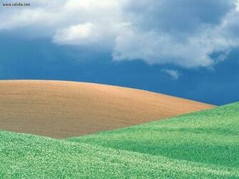 New Horizons Nature