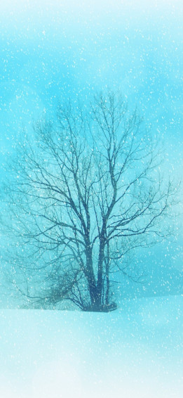 iPhone Pro Max Wallpaper HD