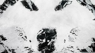 Lone Wolf Wallpaper HD