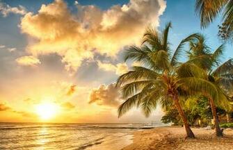 Wallpaper Tropical Paradise Beach Palms Sea Ocean Sunset