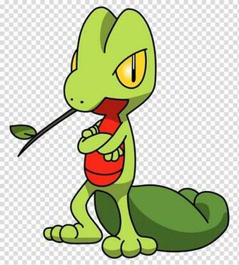 Ash Ketchum Treecko Pok Mon Hoenn Sceptile Transparent