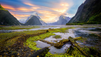 Milford Sound Wallpaper
