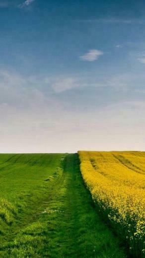 Nature iPhone Wallpaper HD
