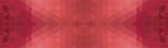 Geo Banner Geometrical Background East Valley Animal