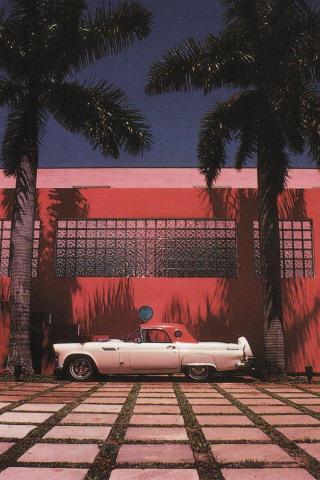 Miami Pink Eric Meola Wallpaper In Resolution