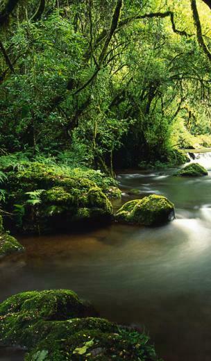 Select Set As Desktop Background Wallpaper World South Africa