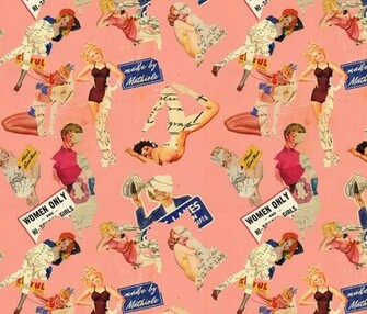 Displaying Gallery Image For Pin Up Background