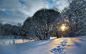 Winter Sunrise Wallpaper