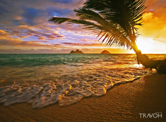 Exploring Of The Top Beaches In Oahu Hawaii Wallpaper