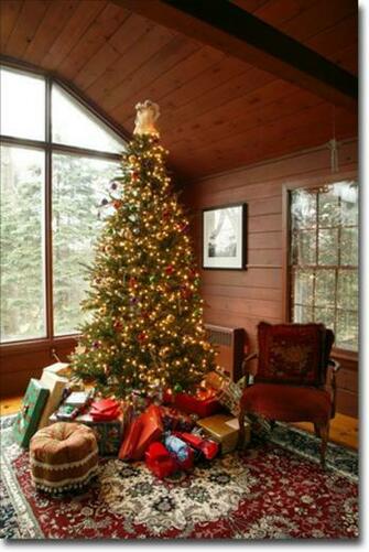 Christmas Photography Worldstart S Tech Tips And Computer Help