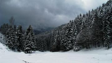 Clouds Over Snowy Forest Wallpaper