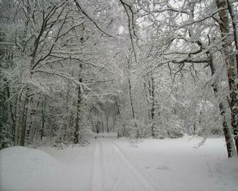 Snowscape Wallpaper