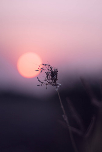 Calm Aesthetic Wallpaper