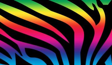 Colorful Neon Zebra Print Wallpaper