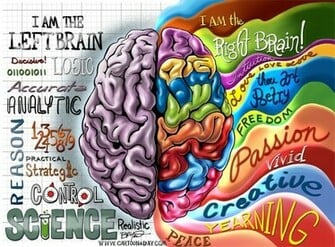 Left Brain Right Illustration Cartoon