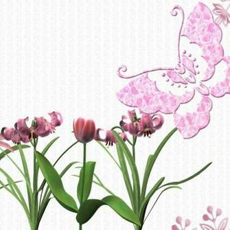 Beautiful Pink Butterfly Wallpaper Flower