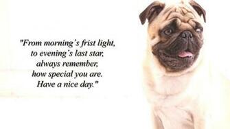 Incredible Good Morning Animal Wallpaper Choice